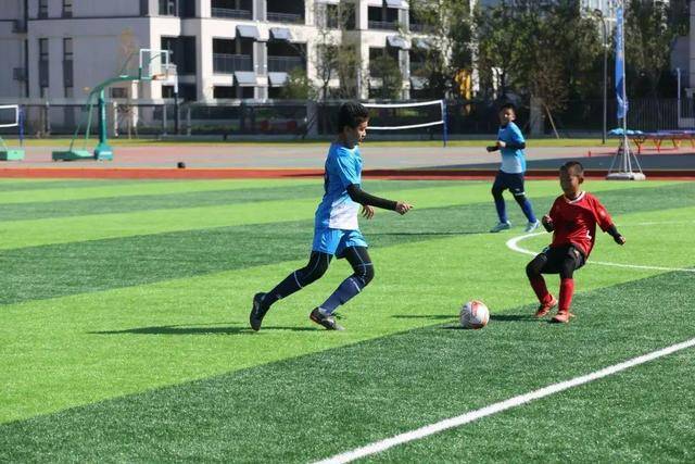 2028洛杉矶残奥会：历史性时刻与攀岩首秀引领新篇章
